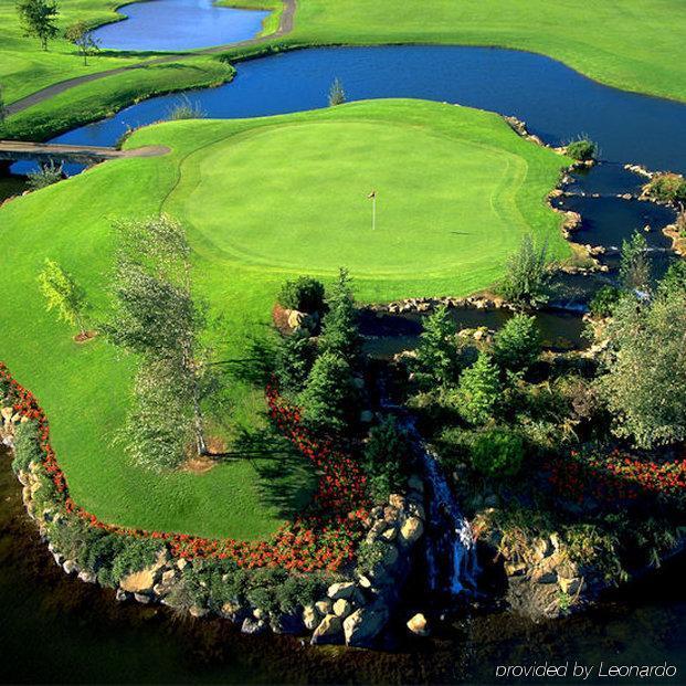 Homestead Resort Lynden Faciliteter billede